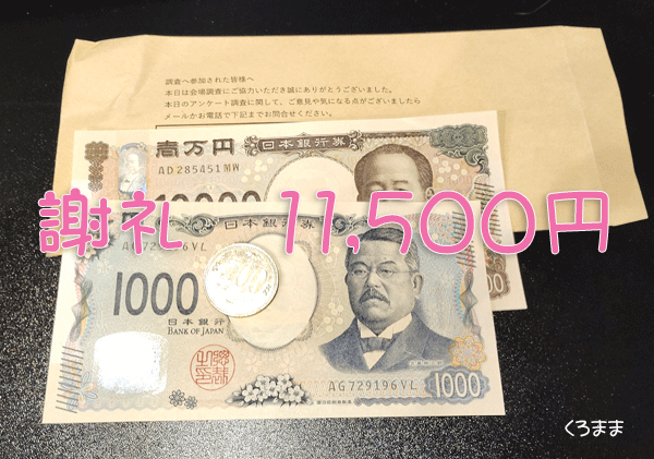 個別インタビュー謝礼11,500円