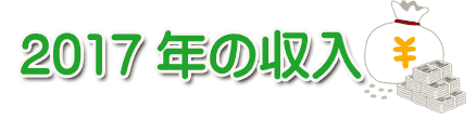 2017年のネット収入