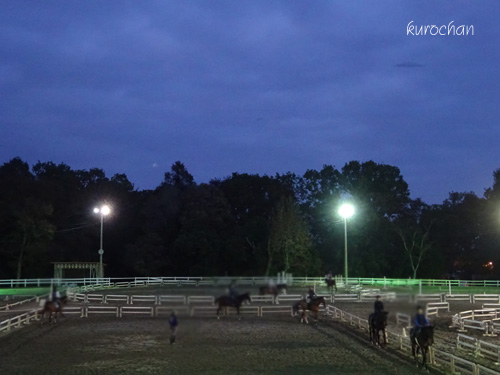 夕方乗馬レッスン