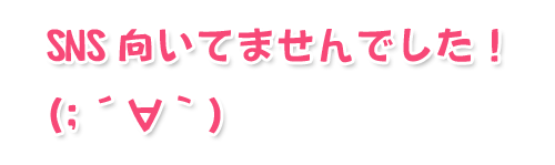 私はsnsは向いていない やっぱりブログとhpが一番好きだ お小遣い稼ぎ主婦の日常