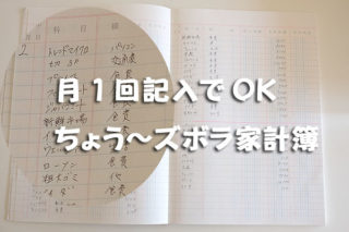 月１回記入でOKな超ズボラ家計簿