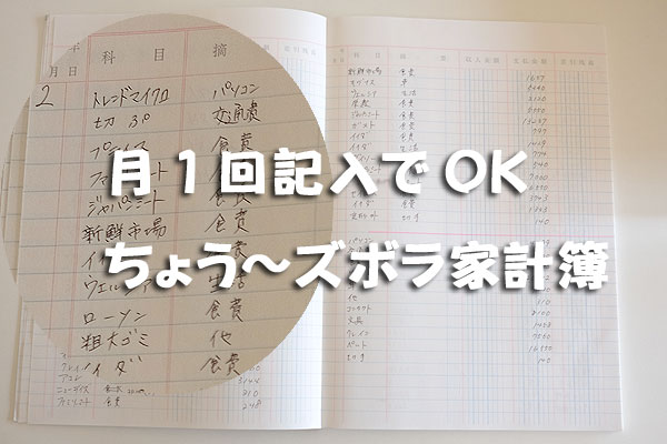 月1回記入でOKな超ズボラ家計簿