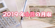 2019年6月の月収