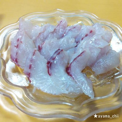 釣ったアイゴの刺身