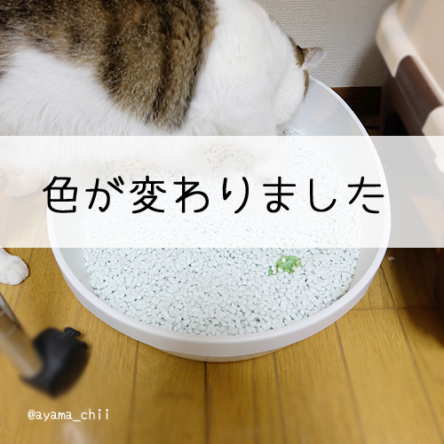 色が変わる猫砂