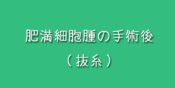 肥満細胞腫の手術後の抜糸