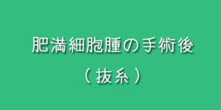 肥満細胞腫の手術後の抜糸