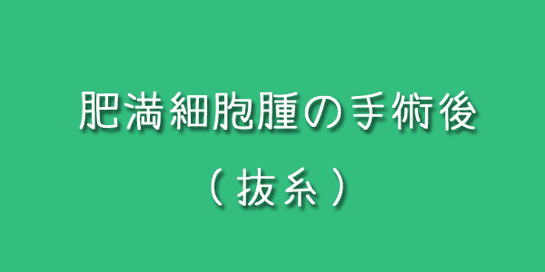 肥満細胞腫の手術後の抜糸