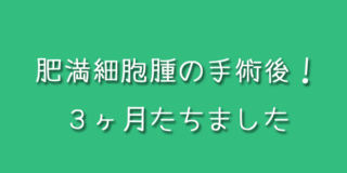 肥満細胞腫の手術後！３ヶ月