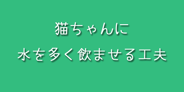 水を多く飲ませる工夫