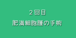 ２回目の肥満細胞腫の手術