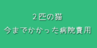 2匹の猫の動物病院にかかった費用