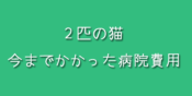 2匹の猫の動物病院にかかった費用