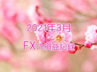 2021年3月のFX記録