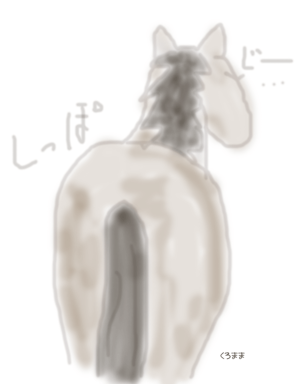 馬の尻尾のお手入れ