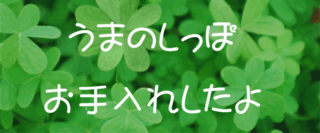 うまのしっぽのお手入れしたよ
